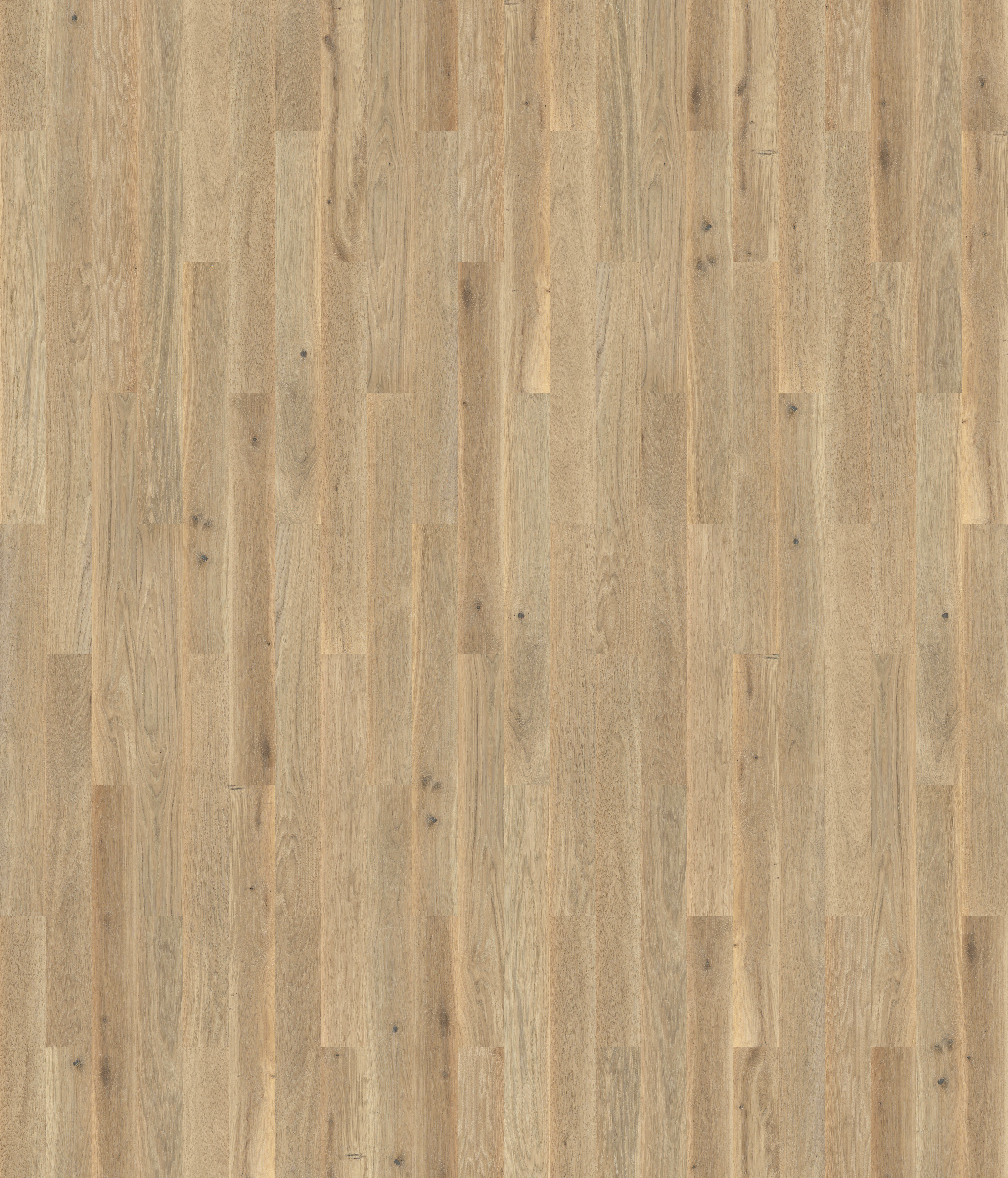 CI_Dab_Color_Avorio_TEXTURE